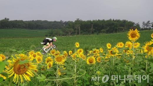 /사진=유현운
