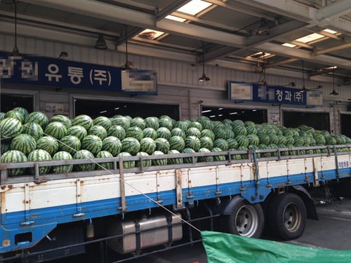 사진=머니투데이 DB