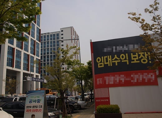 사진제공=머니투데이 송학주 기자