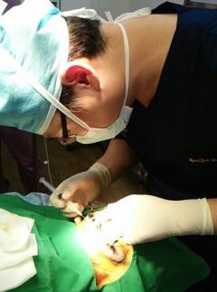 [양현준 원장의 모발이식지침서(140)] 증가하는 여성 모발이식, 주의할 점은?