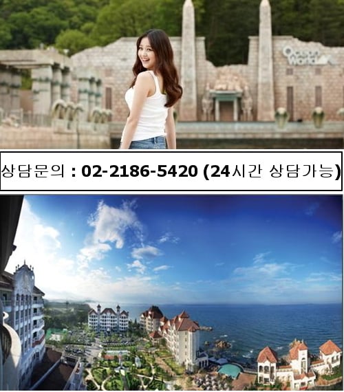 대명리조트 콘도 특별회원권 여름성수기 개인·법인 다양한 혜택