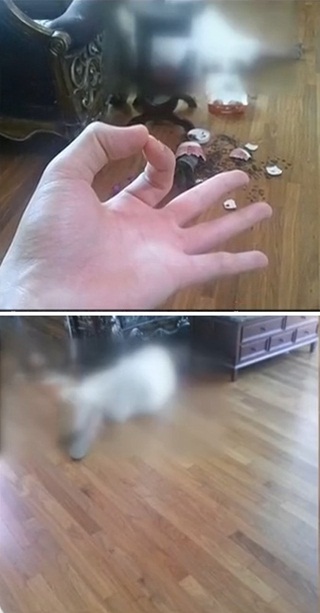 /사진=일베