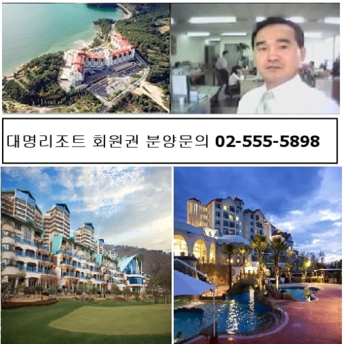 대명리조트 콘도회원권 여름맞이 개인, 법인 다양한 혜택