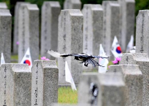 국립현충원 /사진=머니투데이DB