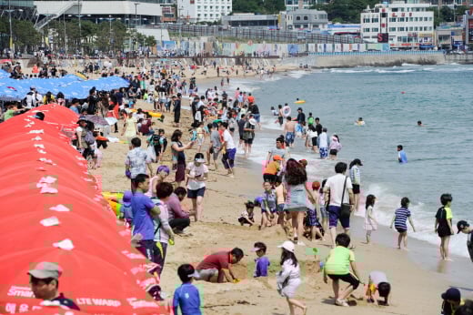 /자료사진=부산 뉴스1 전혜원 기자 제공