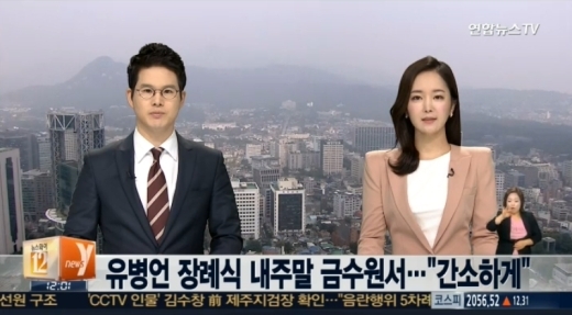 /사진=YTN뉴스 캡처