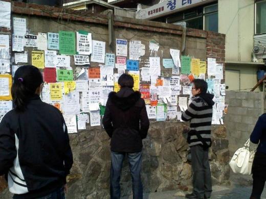 자취방을 구하려고 벽보를 살펴보고 있는 대학생들. /자료사진=머니투데이DB