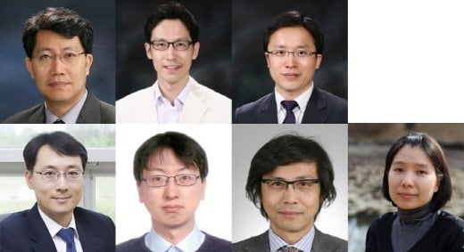 (좌측 위부터 시계방향) 김수봉 서울대 교수, 이상민 서울대 교수, 장호원 서울대 교수, 박문정 포스텍 교수, 노삼혁 홍익대 교수, 이지운 KAIST 교수, 윤준보 KAIST 교수.
