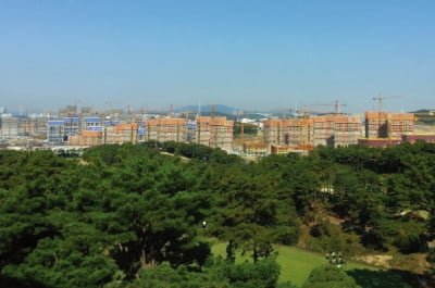 /사진=머니투데이DB