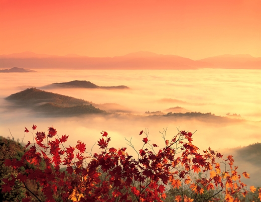 주왕산의 가을 절경 /사진=국립공원관리공단