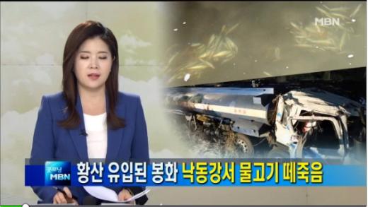 /사진=MBN 방송화면 캡처