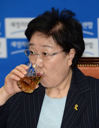 새정치민주연합 한명숙 의원 /사진=뉴스1