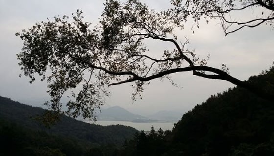 백련사 오솔길에서 내려다보이는 강진만/사진=김옥분님