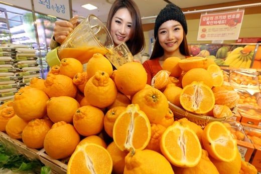 한라봉의 효능 /사진=머니투데이DB