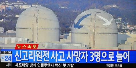 /사진=YTN 캡처
