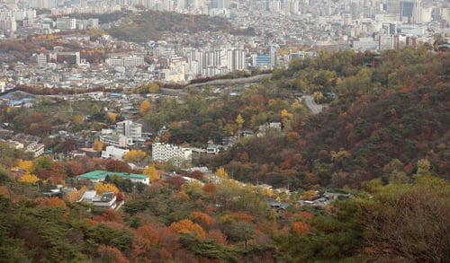 서울 종로구 평창동 북악산길. /사진=뉴스1 한재호 기자 