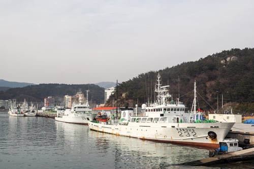 대변항.