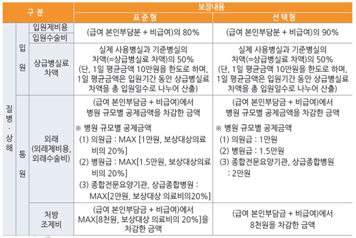 /자료제공=금융감독원