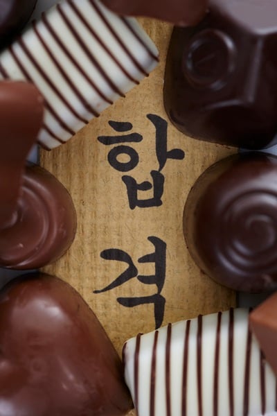 '서울시교육청' '충북교육청' '강원도교육청' '임용고시 최종 합격자 발표' /사진=이미지투데이