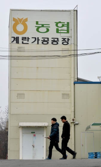 '농협 계란가공공장' '한국양계농협' /사진=뉴스1
