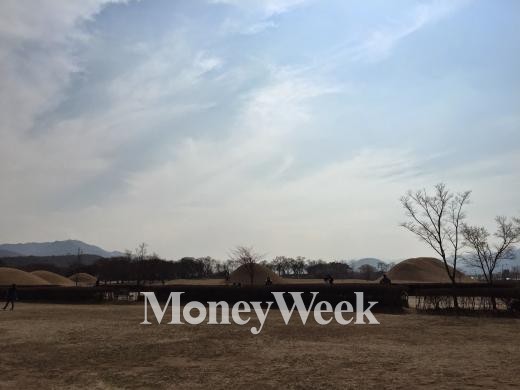 ‘경주 산불’ 경주와 포항의 경계에 위치한 야산에 불이 나면서 강풍으로 포항까지 번질 위기에 놓였다. /사진=머니위크DB