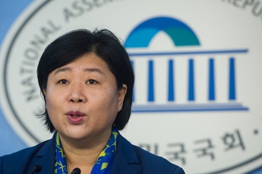 '공무원연금 개혁' 새정치민주연합 서영교 원내대변인 /사진=뉴스1DB