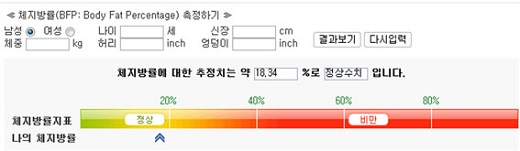 ‘체지방률 계산법’/사진=포털 사이트 다음 화면 캡처