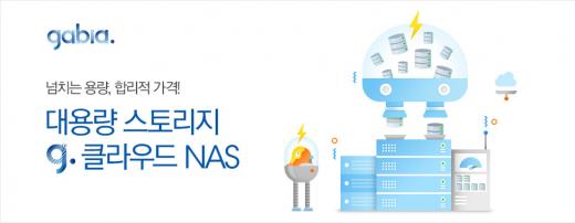가비아, 대용량 네트워크 스토리지 