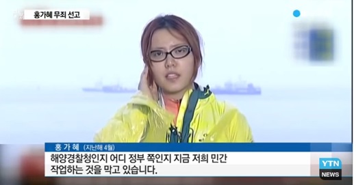'홍가혜 비방댓글 고소' /YTN뉴스 캡처