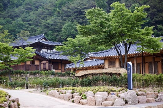 전통리조트 ‘구름에’, 오감만족 힐링 ‘사과꽃 프로모션’ 진행