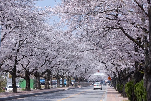 '오늘 날씨' /자료사진=이미지투데이