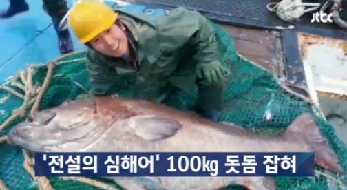 '돗돔' /사진=JTBC 캡처