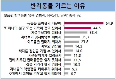 반려동물 애견, “좋아하고, 또 하나의 가족과 친구 갖고파”