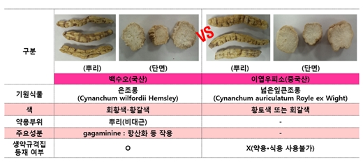 백수오와 이엽우피소 /사진=한국소비자원