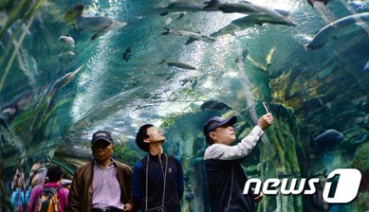 '제2롯데월드 아쿠아리움' /사진=뉴스1