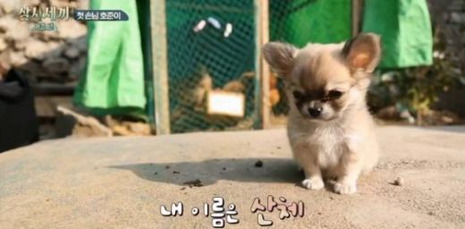 tvN '삼시세끼' 캡처 