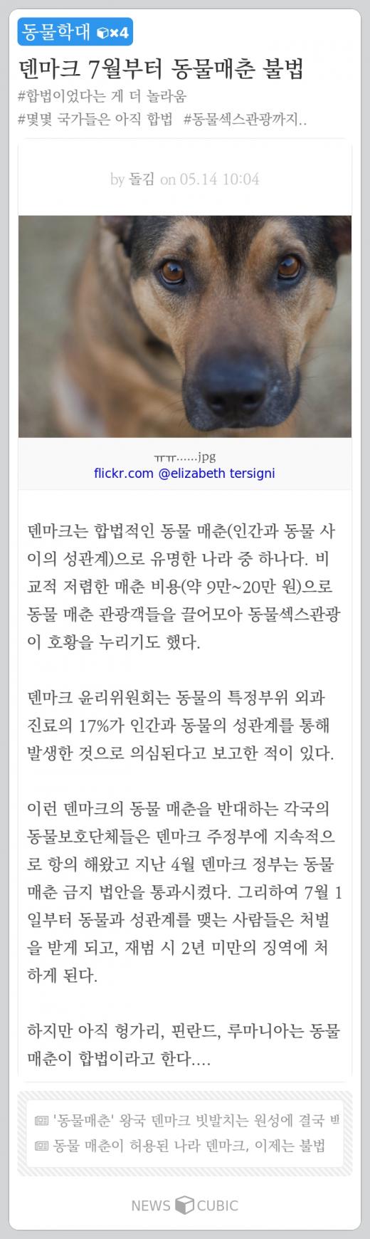 [한주의 뉴스큐빅] 흥행 기대작 '매드맥스'·홍준표 '집사람 비자금'·동물매춘 합법?·유승준 '13년만의 고백'·영화팬 설레게 할 소문