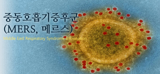 '메르스 예방법' /자료=질병관리본부