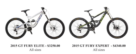 리콜 대상인 'GT Fury Elite'와 'GT Fury Expert'/이미지=CPSC 캡처