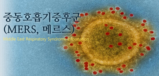 '메르스 예방' /자료=질병관리본부 홈페이지 캡처