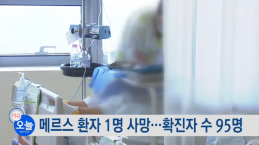 '메르스 환자 수' /자료=YTN 뉴스 캡처