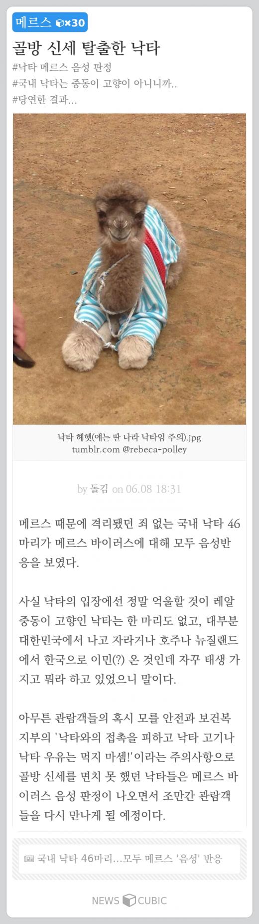 [한주의 뉴스큐빅] '천재 소녀' 진실·'쥬라기 월드' 볼까 말까·격리해제된 낙타·공포의 이름 '메르스'·하태경의 박원순 저격