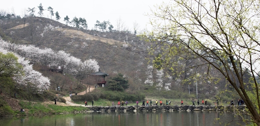 미르숲 전경. /사진=현대모비스 제공