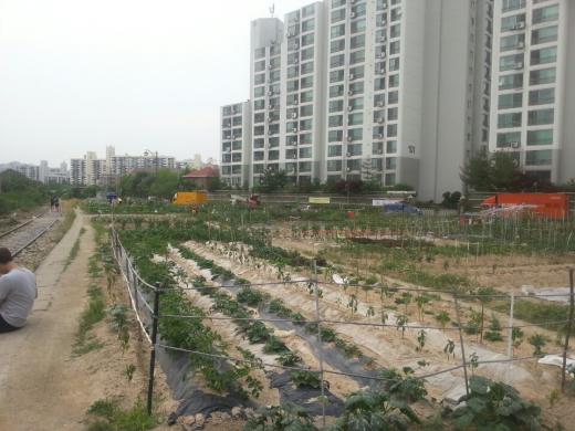 서울 '공릉 행복주택'이 들어설 노원구 공릉동 436-9 일대. 사진제공=비대위