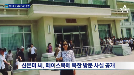 '신은미 북한' /사진=채널A 뉴스 캡처