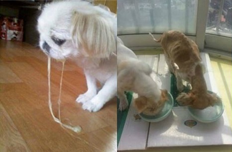 '개막걸리녀' /사진=페이스북 캡처