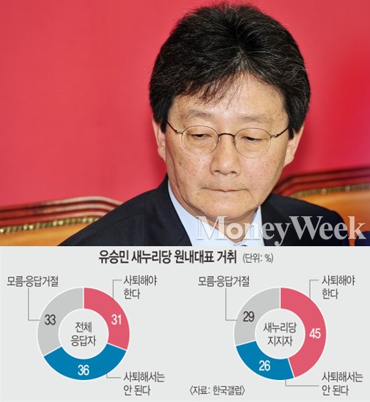 유승민 원내대표. /사진=임한별 기자 