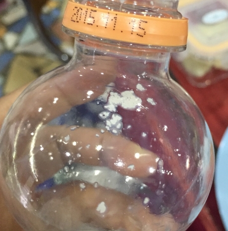 '구더기 액상분유' /사진=해당 블로그 게시물 캡처