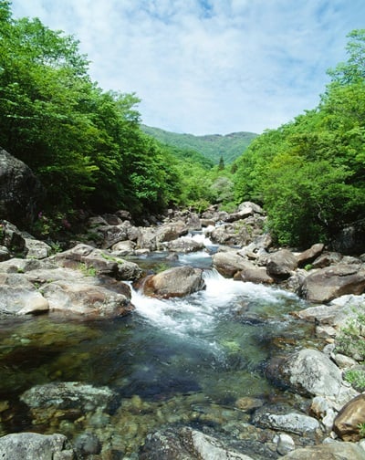 '국립공원 계곡 10선' /자료사진=이미지투데이