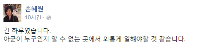 /자료=새정치민주연합 손혜원 홍보위원장 페이스북 캡처